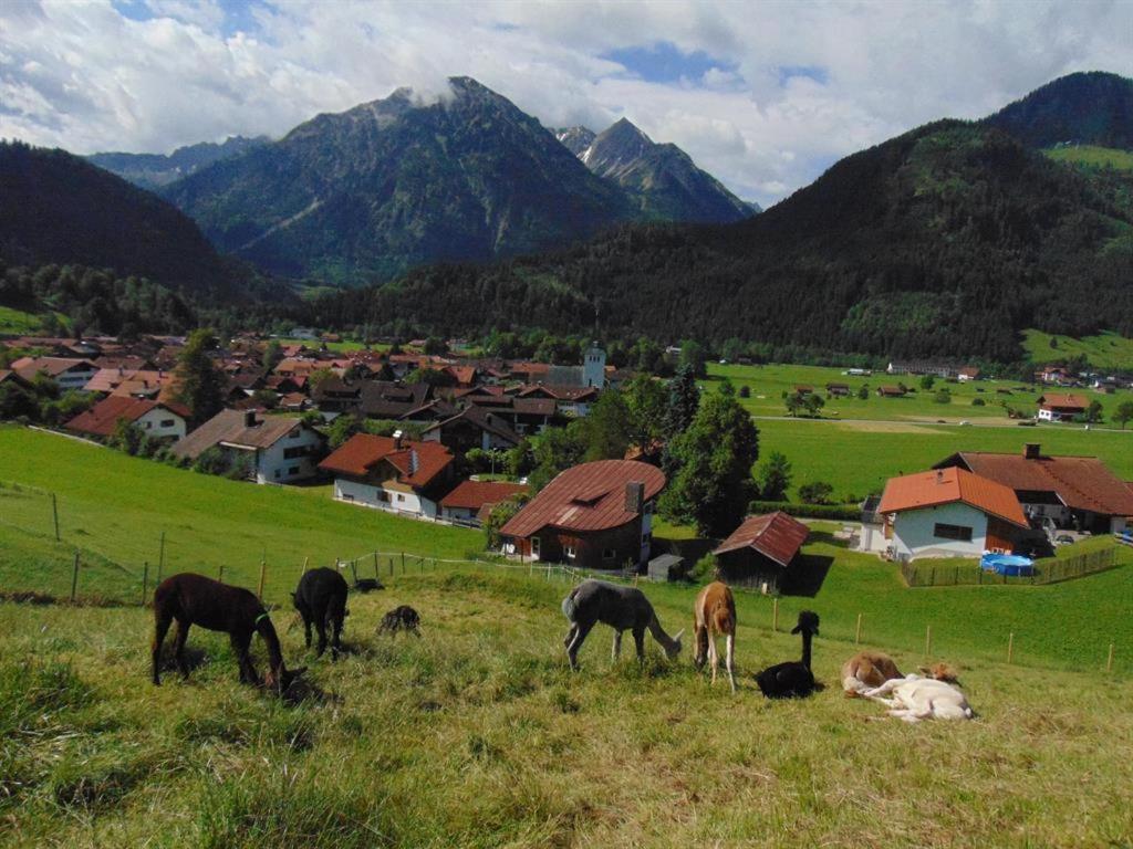Вилла Alpakahof Wechs Бад-Хинделанг Экстерьер фото