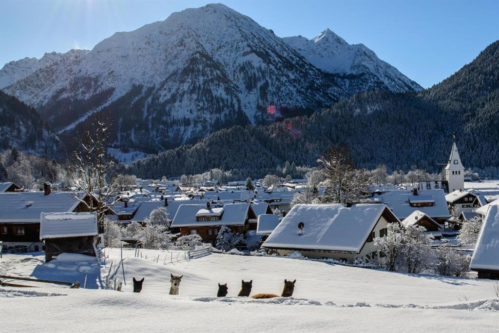 Вилла Alpakahof Wechs Бад-Хинделанг Экстерьер фото